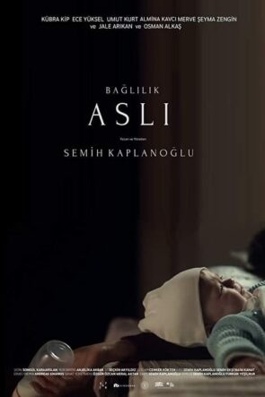 Bağlılık Aslı (2019)