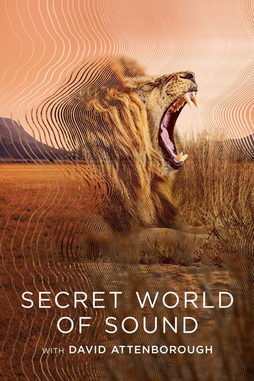 Secret World of Sound : 1.Sezon 3.Bölüm