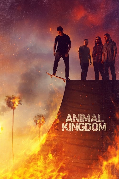 Animal Kingdom : 4.Sezon 13.Bölüm