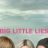 Big Little Lies : 1.Sezon 2.Bölüm izle